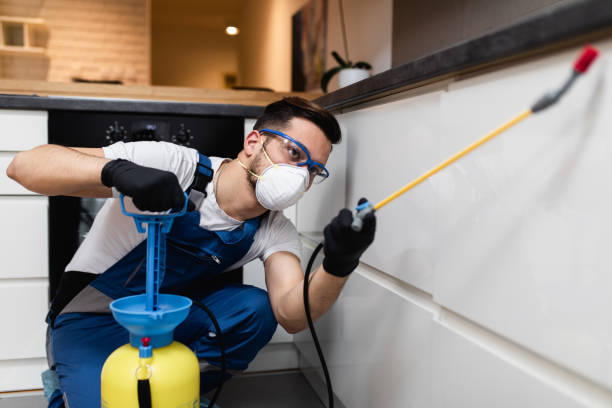 Wasp Removal Services in Castle Pines, CO