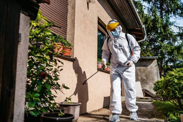 Best Pest Control for Businesses  in Castle Pines, CO