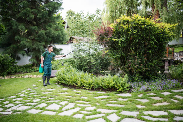 Pest Control Cost in Castle Pines, CO