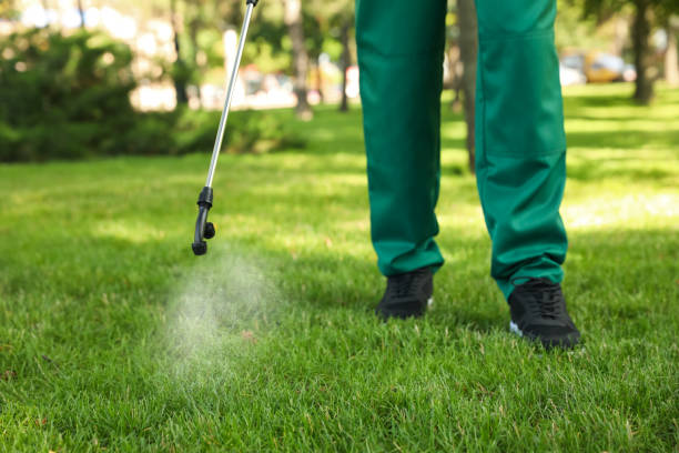 Best Pest Removal Services  in Castle Pines, CO