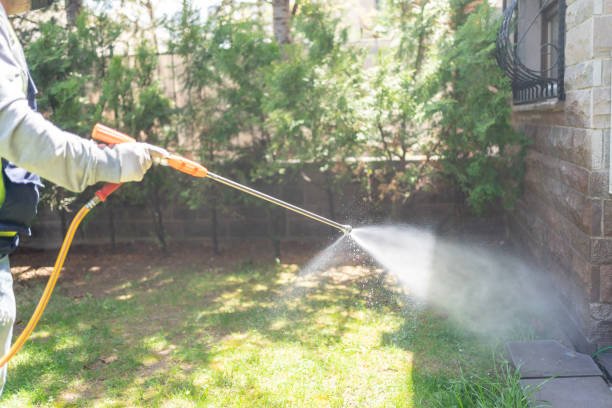 Best Termite Control Services  in Castle Pines, CO