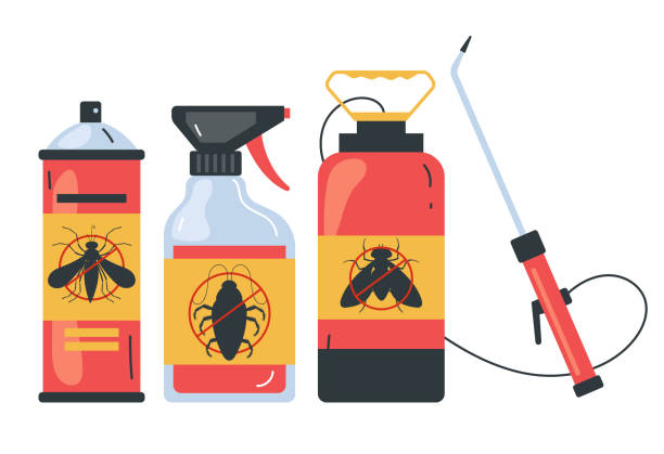 Best Wasp Removal Services  in Castle Pines, CO