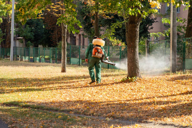Best Best Pest Control Companies  in Castle Pines, CO