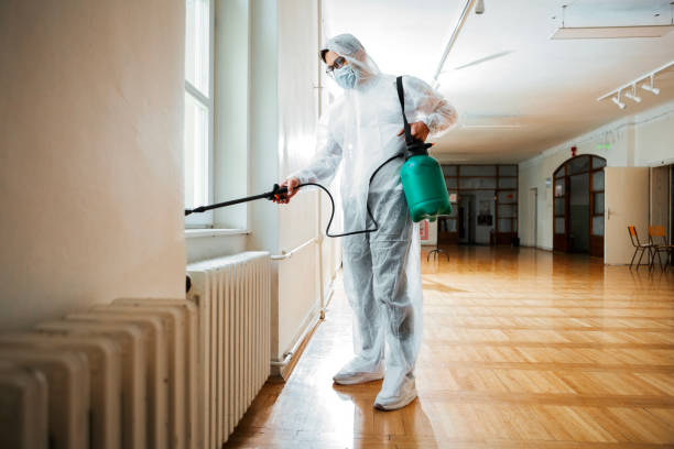 Best Affordable Pest Control Services  in Castle Pines, CO